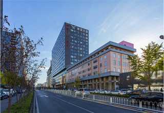 奉贤区彩色金葱粉